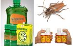Comment et quoi empoisonner les cafards à la maison