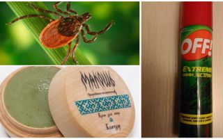 Drogues de tiques