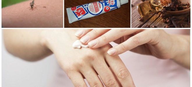 Argent pour les moucherons et les moustiques de leurs propres mains