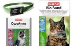 Collier Beafar des puces pour chiens et chats
