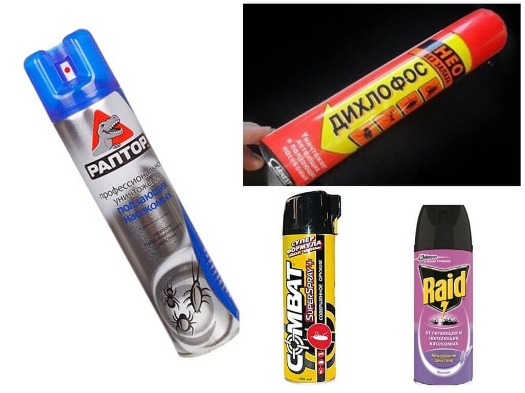 Sprays Cafards