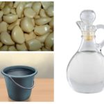 Ail et vinaigre