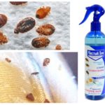 Pulvériser des insectes domestiques
