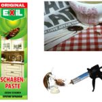 Exil de cafards
