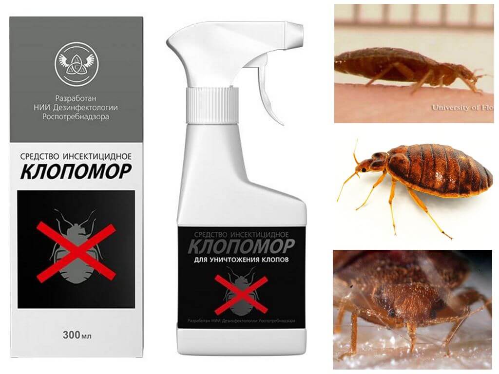 Insecticide Means