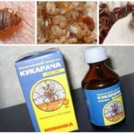Cucaracha remède contre les punaises de lit-1