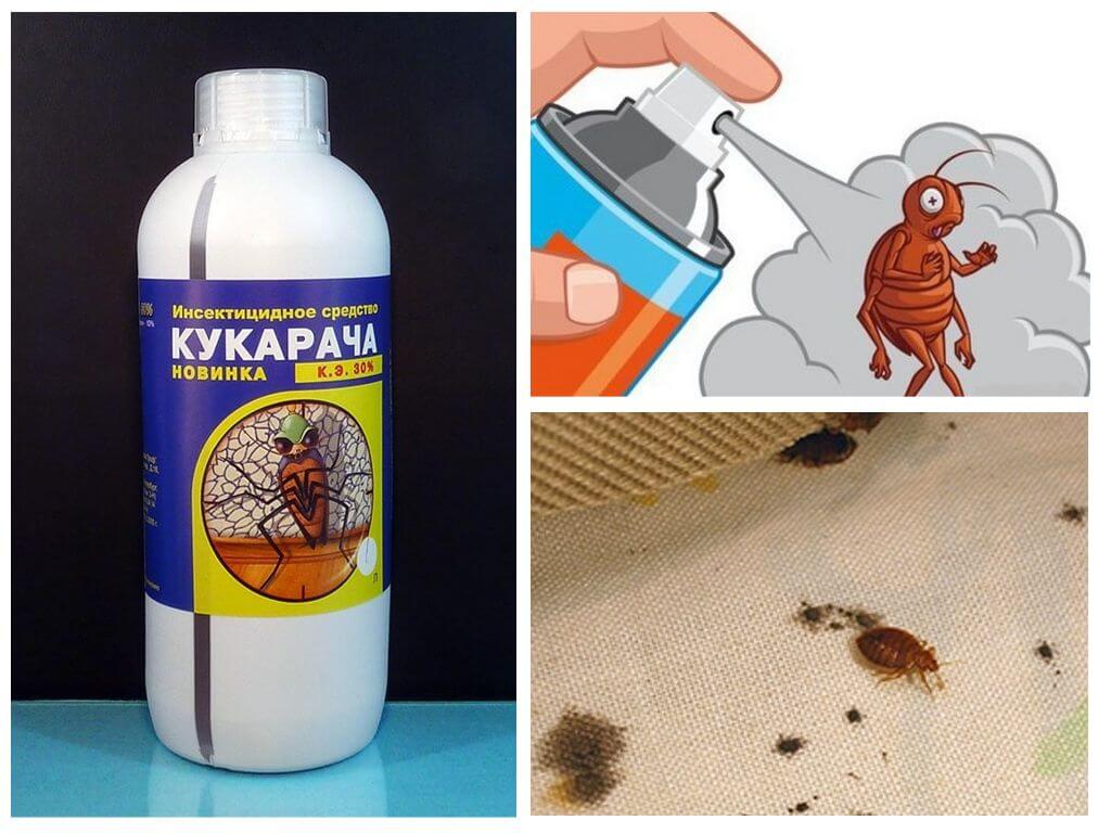 Cucaracha remède contre les punaises