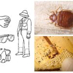Mesures de sécurité lors du traitement