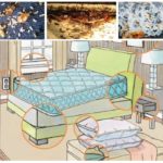 Habitats de punaises dans la maison