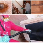 Traitement de chambre pour punaises