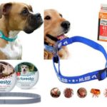 Collier anti-puces pour chiens