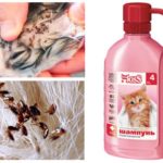Shampoing aux puces pour chatons