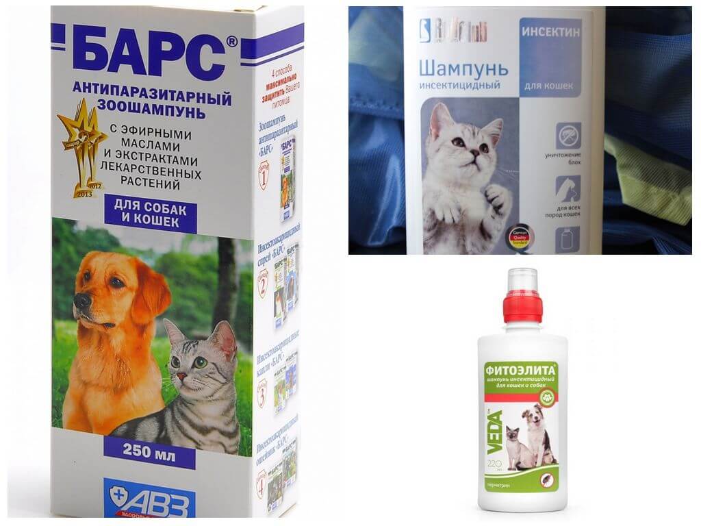 Shampooings aux puces pour chiens et chats