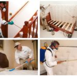 Services de traitement