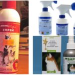 Sprays contre les puces chez les chats