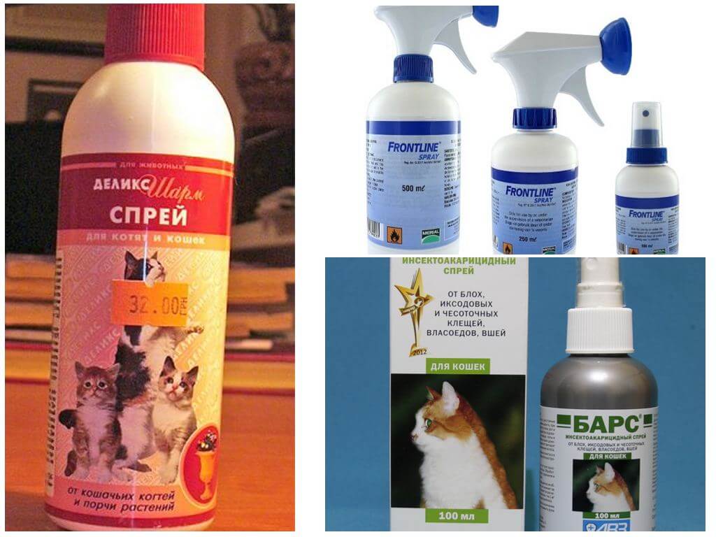 Sprays contre les puces chez les chats
