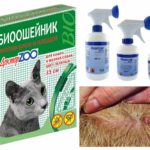 Spray et collier anti-puces