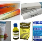 Remèdes contre les mouches noires
