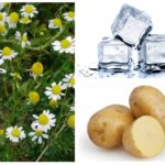 Camomille, pommes de terre crues et glace