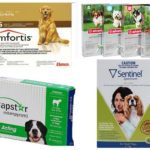 Comprimés aux puces pour chiens