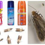 Sprays