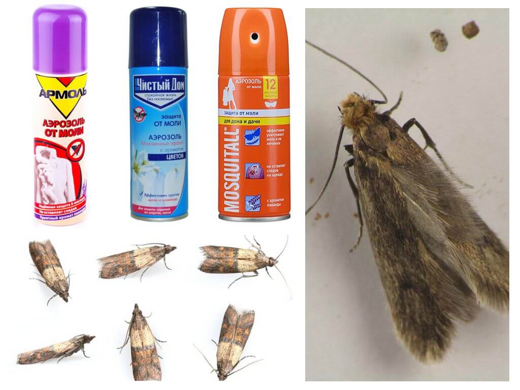 Sprays