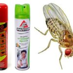 Dichlorvos et Raptor Blackfly