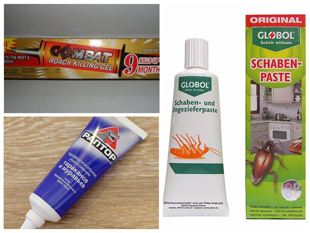 Gels de blatte