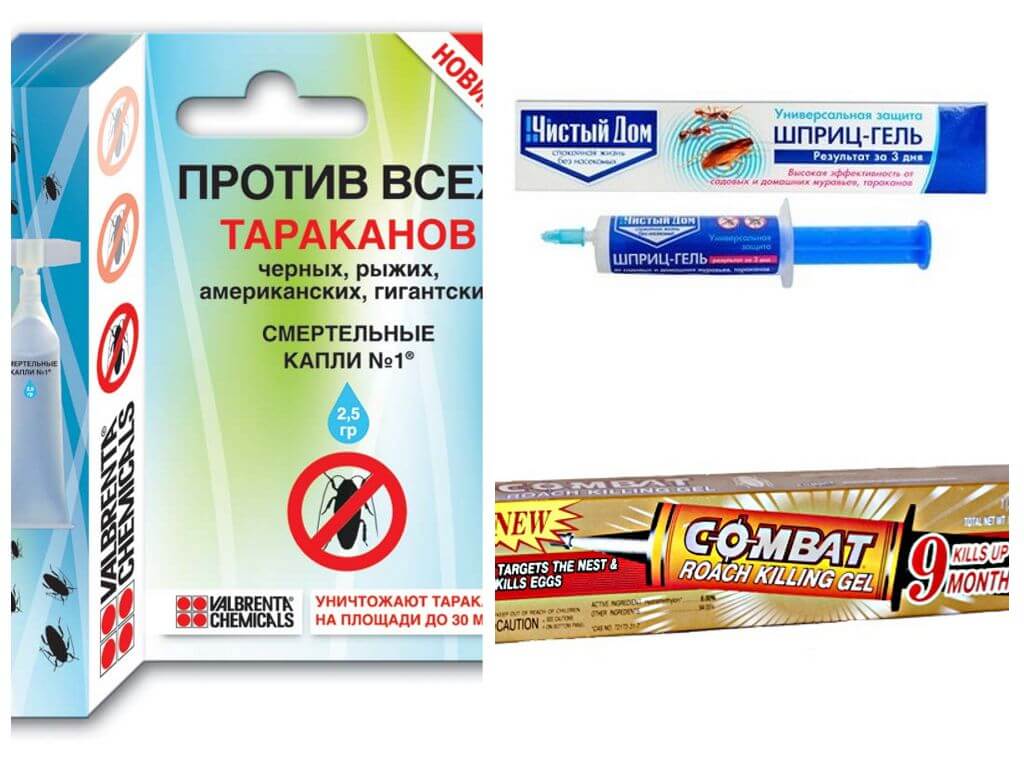 Gels de cafards-1