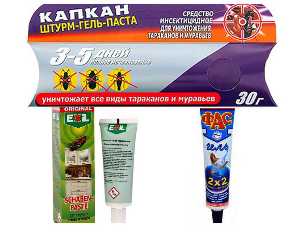 Gels de blatte