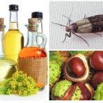 Châtaignes et huiles essentielles