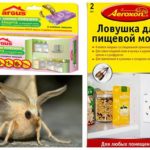 Pièges à mites