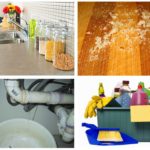 Mesures de contrôle des blattes