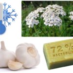 Remèdes populaires pour la mouche blanche