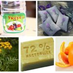 Prévenir l'apparition des mites