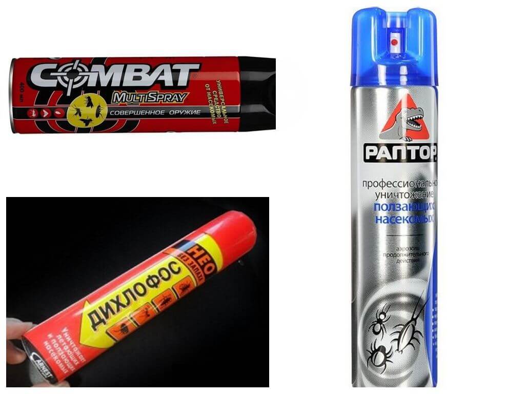Sprays Cafards
