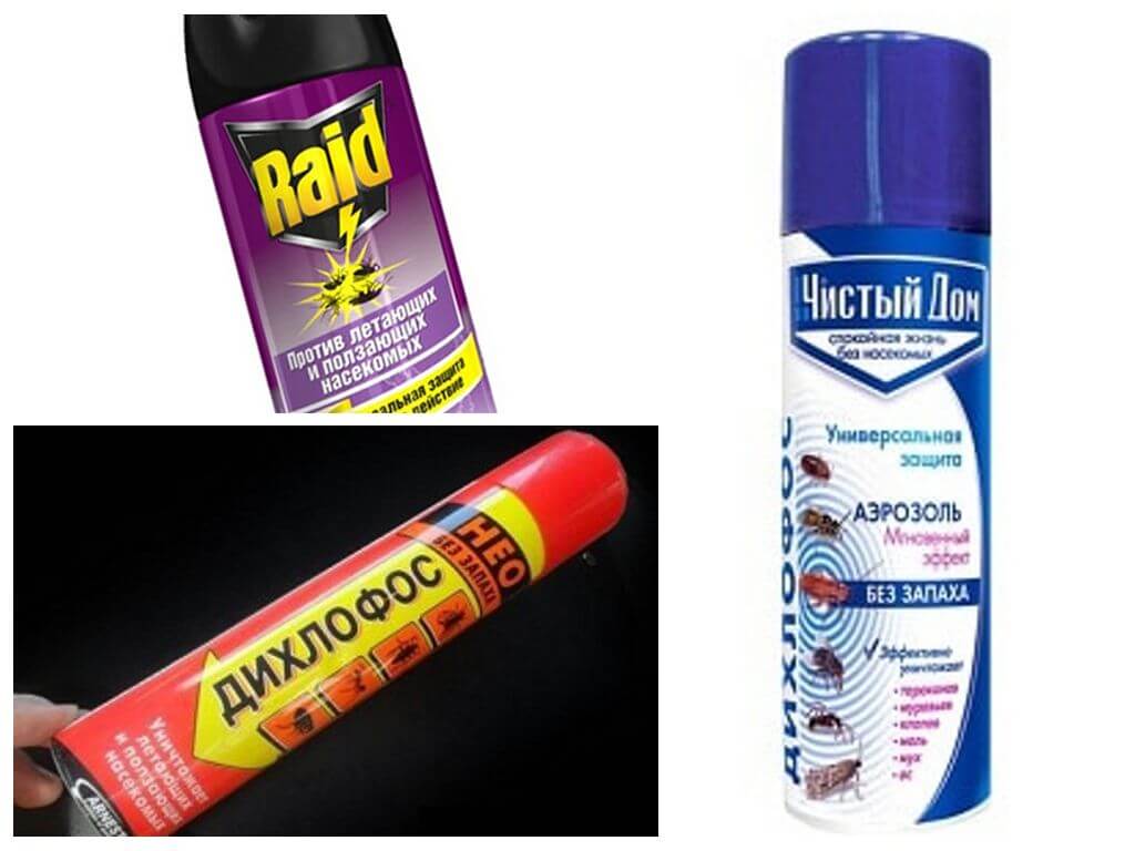 Sprays Cafards
