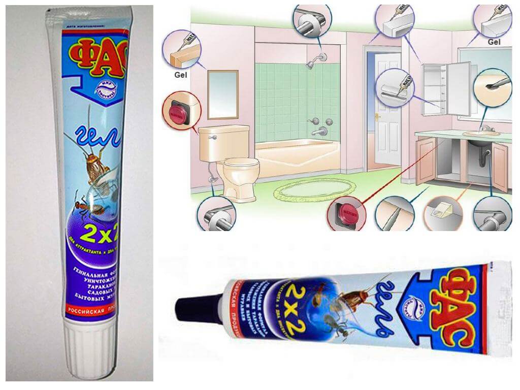 Gel Fas de cafards