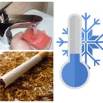 Comment se débarrasser de la mouche blanche