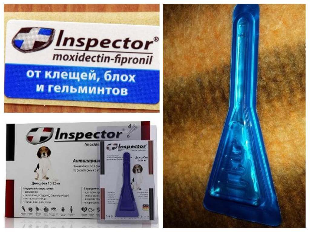 Inspecteur de gouttes