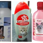 Shampooing Aux Puces-1