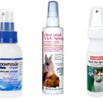 Spray aux puces