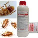 Éperonnage de cafards-1