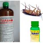 Taran de cafards