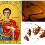 Sort de St. Tryphon