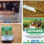 Deltsy en ampoules de puces