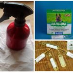 Deltsyd en ampoules de puces-1
