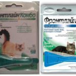 Frontline de puces-1