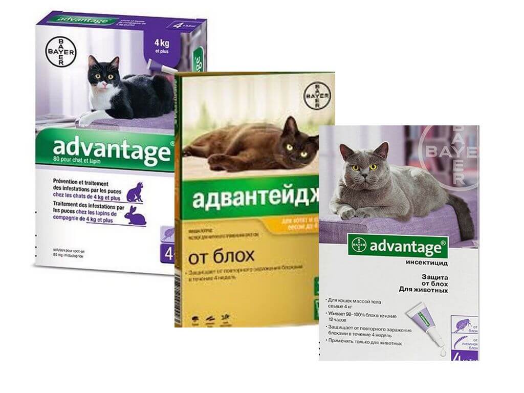 Gouttes avantage