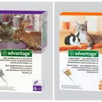 Gouttes Aux Puces Pour Les Lapins